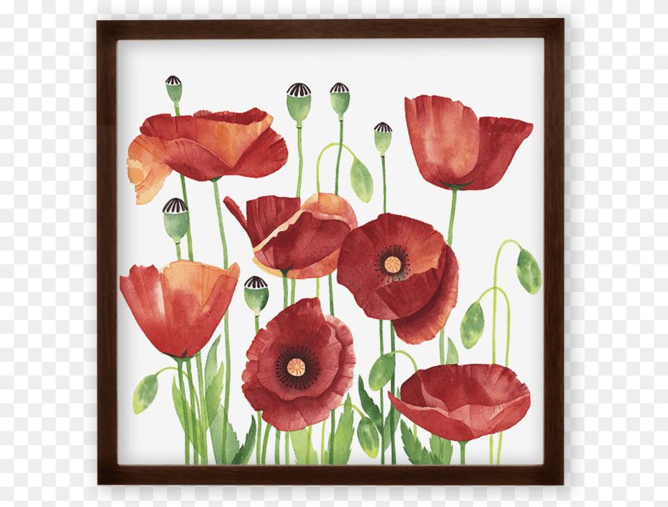 Poppies Art Print, Flower, Plant, Poppy, Rose Free Png Download