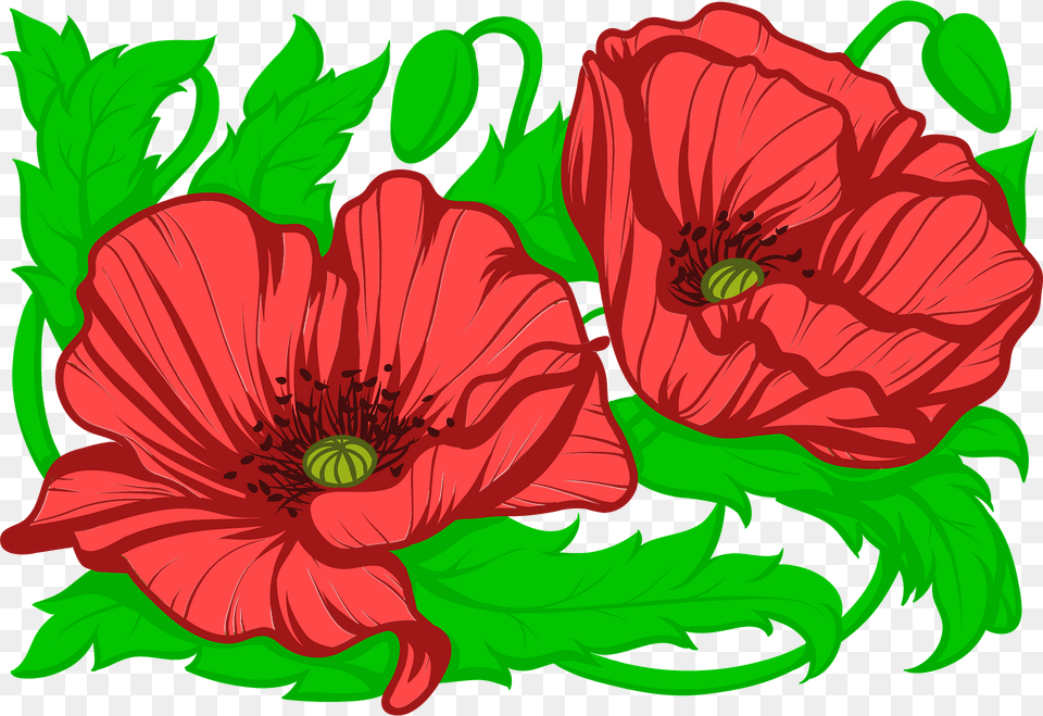 Poppies Clipart, Flower, Plant, Poppy, Rose Free Png