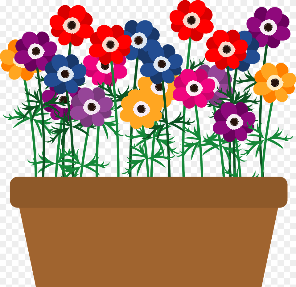 Poppy Anemone Flower Clipart, Pottery, Potted Plant, Planter, Plant Free Png