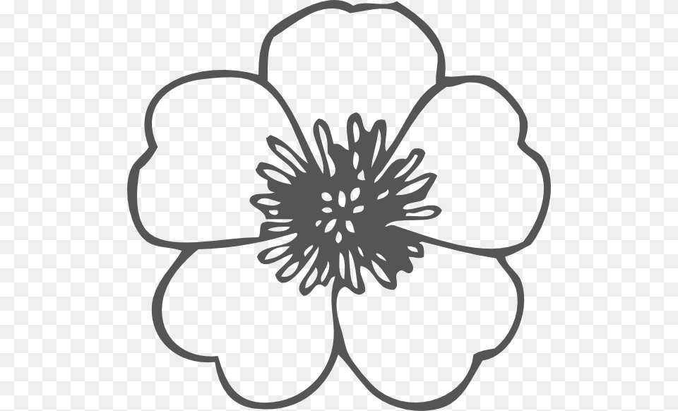 Poppy Black And White Outline Flower Clipart, Anemone, Anther, Dahlia, Plant Free Png Download