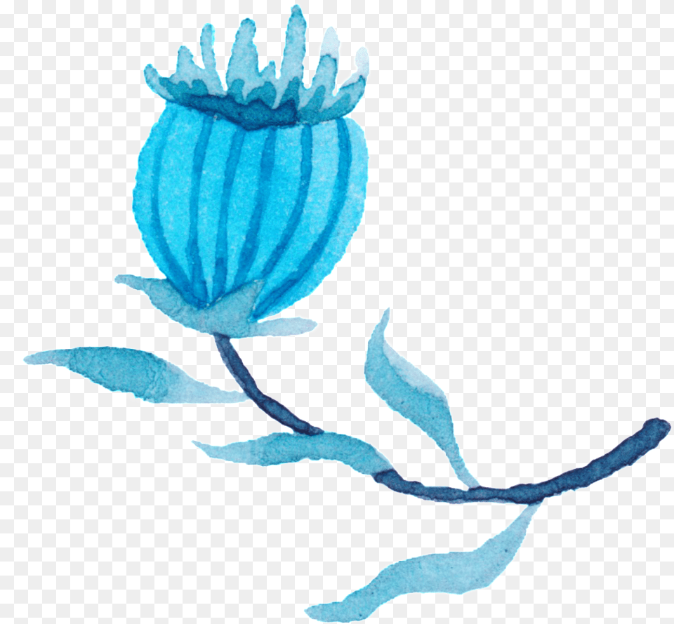 Poppy Bloom Watercolor Hand Painted Flower Flower, Animal, Sea Life, Invertebrate, Jellyfish Free Transparent Png