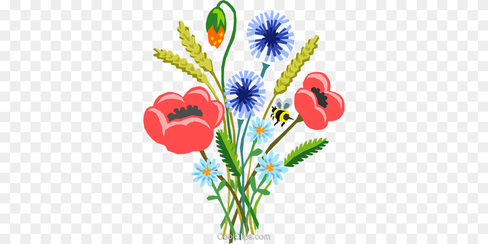 Poppy Bouquet Royalty Vector Clip Art Illustration, Graphics, Pattern, Floral Design, Plant Free Png Download