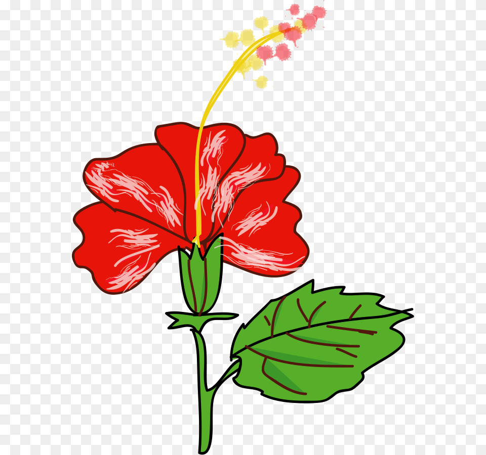 Poppy Clip Art, Flower, Hibiscus, Plant, Dynamite Free Transparent Png