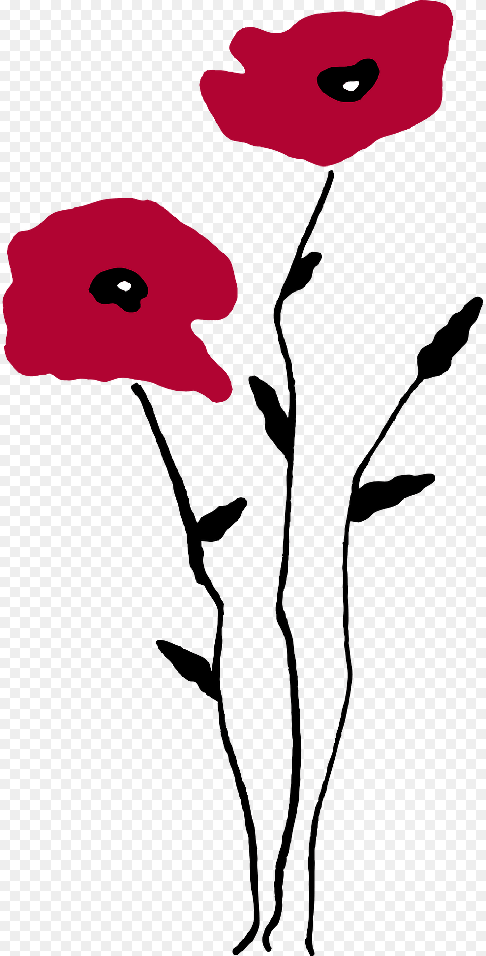 Poppy Clipart, Flower, Plant, Petal Png Image
