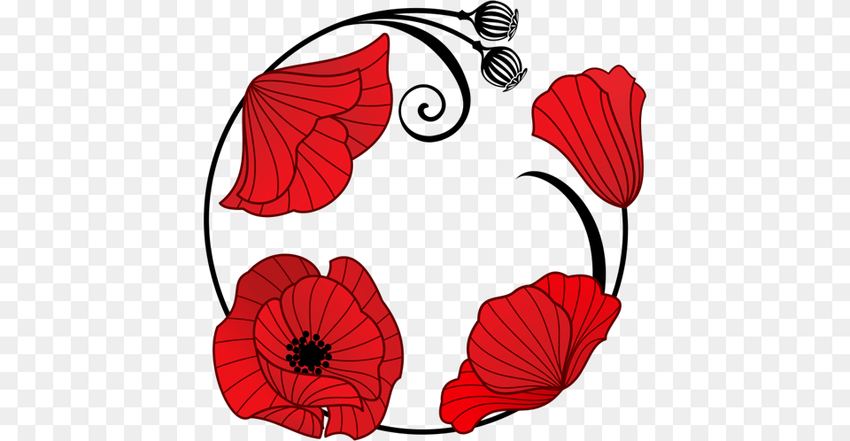 Poppy Clipart Row Poppy, Flower, Petal, Plant, Hibiscus Png