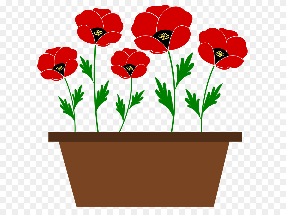 Poppy Clipart Vector, Flower, Geranium, Plant, Potted Plant Free Png Download