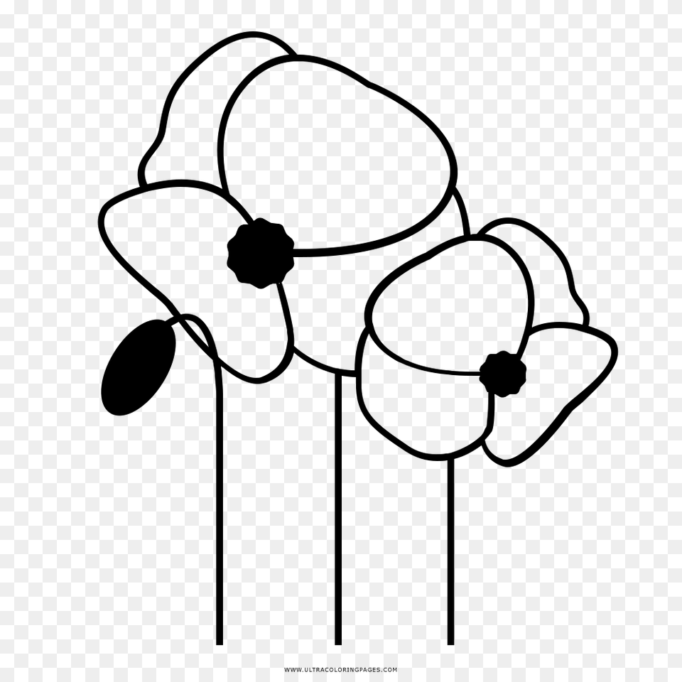 Poppy Colouring, Gray Png