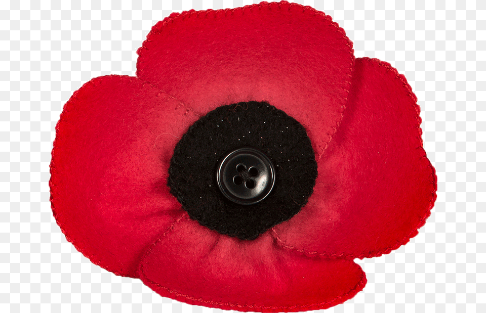 Poppy Felt Gchq Site, Flower, Plant, Accessories, Anemone Png Image