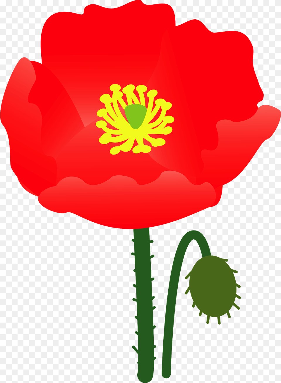 Poppy Flower Clipart, Plant, Petal, Dynamite, Weapon Png