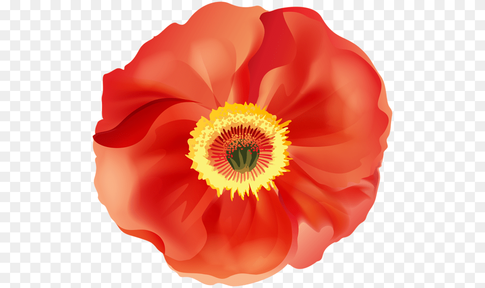 Poppy Flower Clipart Svg Royalty Poppy Clip Poppy Flower Poppy Remembrance Day Clip Art, Anemone, Petal, Plant, Rose Free Transparent Png
