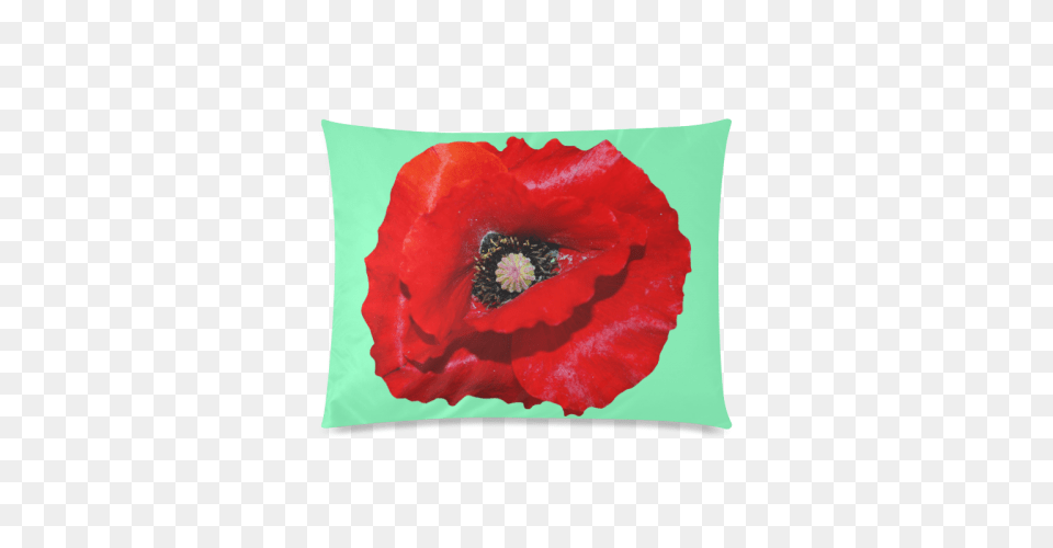 Poppy Flower Custom Zippered Pillow Cases, Plant, Cushion, Home Decor, Rose Free Png Download