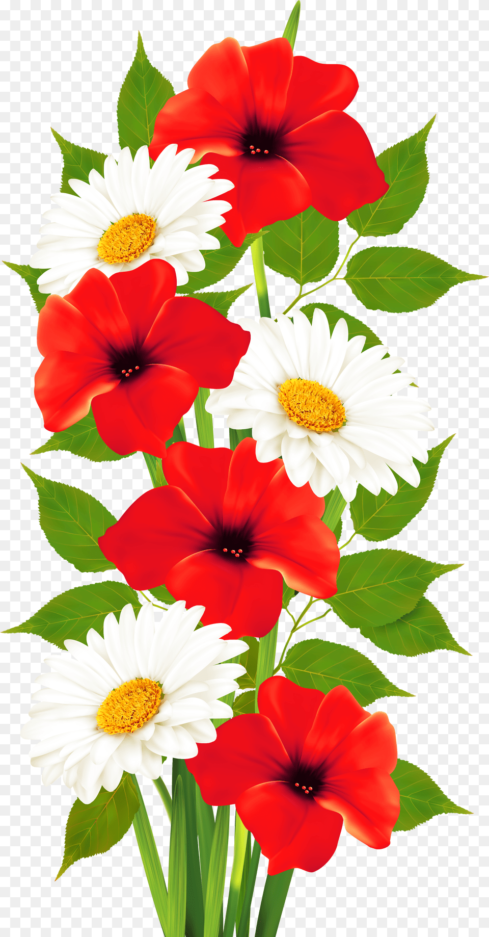 Poppy Flower Download Flower Colour Clipart Free Transparent Png
