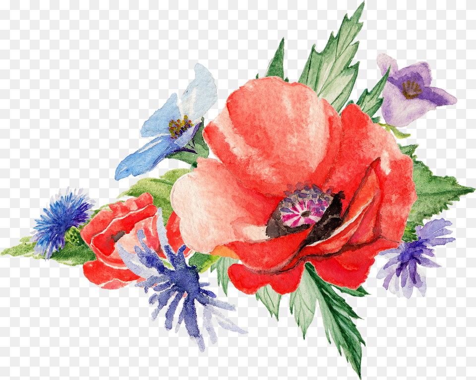 Poppy Flower Watercolor, Device, Grass, Lawn, Lawn Mower Png Image