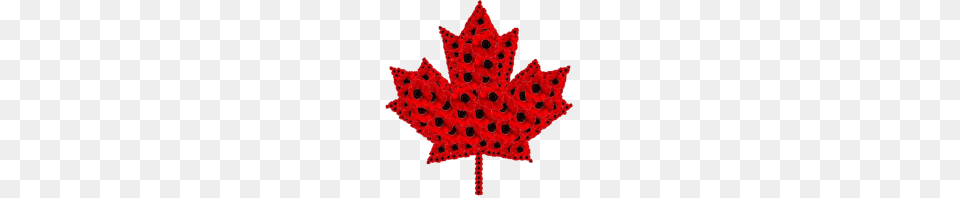 Poppy Leaf, Plant, Accessories, Pattern, Animal Png Image
