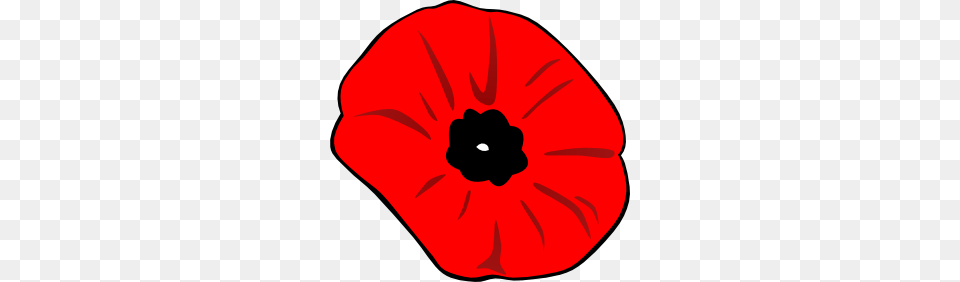 Poppy Remembrance Day Clip Art Artistry, Flower, Petal, Plant, Anemone Free Transparent Png