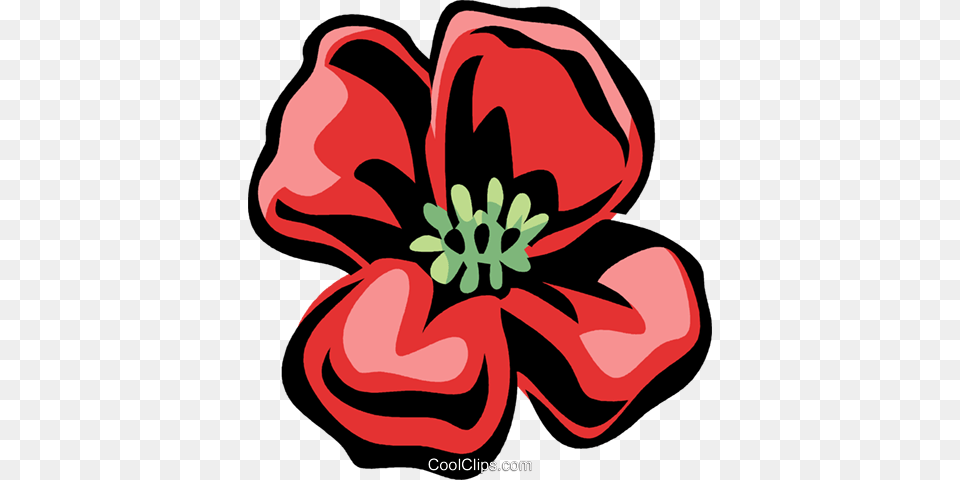 Poppy Royalty Vector Clip Art Illustration, Anther, Flower, Petal, Plant Free Png Download