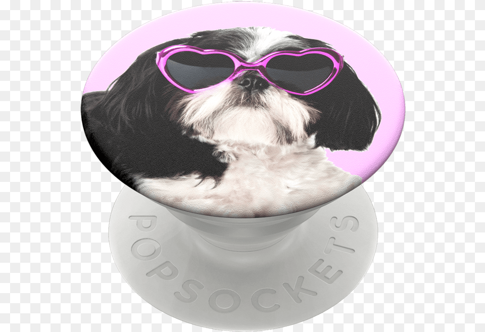 Popsockets Sassy Shih Tzu Popgrip Popsocket Hund, Accessories, Glasses, Sunglasses, Animal Free Transparent Png