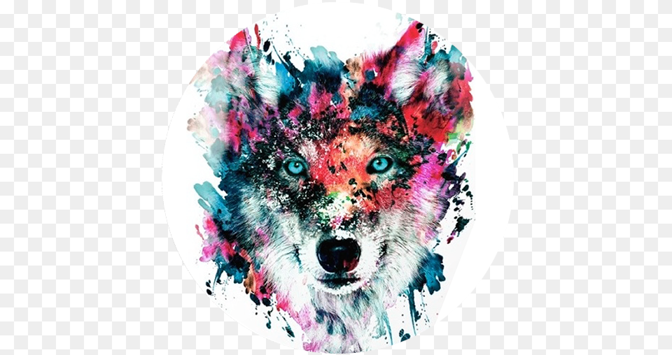 Popsockets Wolf Popsocket, Animal, Mammal, Canine, Red Wolf Free Png Download