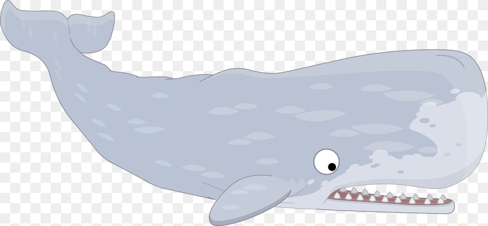 Poptropica Wiki, Animal, Mammal, Sea Life, Whale Free Transparent Png