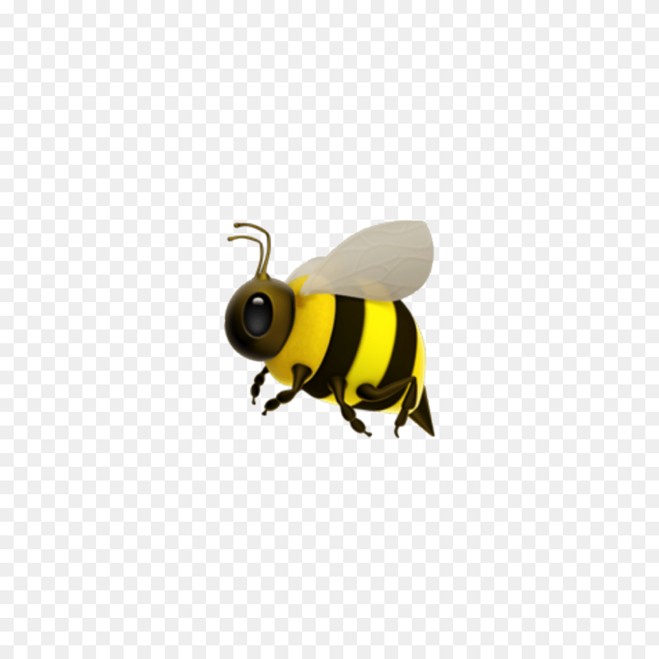 Popular And Trending Bee Stickers, Animal, Insect, Invertebrate, Wasp Free Png