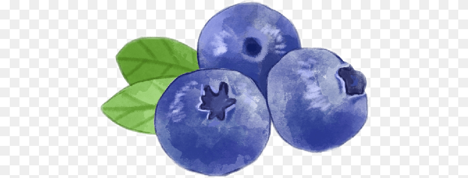 Popular And Trending Blueberry Stickers Bilberry, Fruit, Berry, Food, Produce Free Png Download