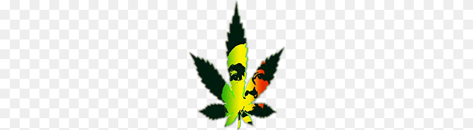 Popular And Trending Bobmarley Stickers, Green, Leaf, Plant, Weed Free Transparent Png