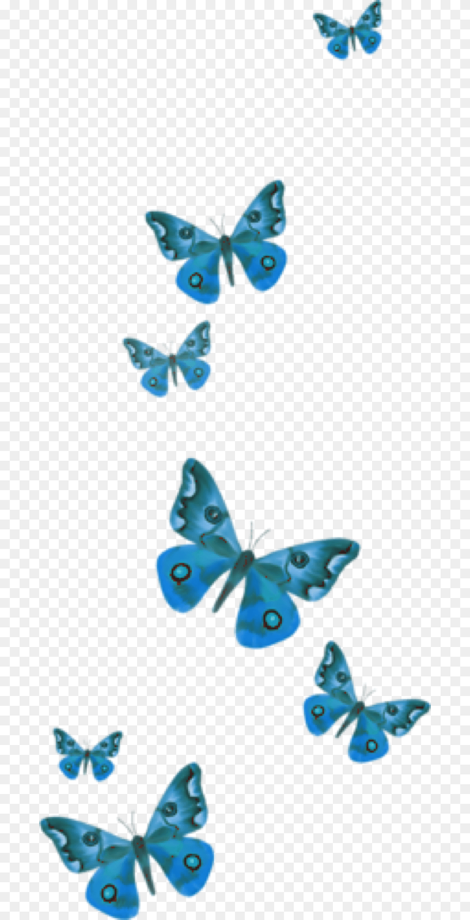 Popular And Trending Butterfly Stickers On Picsart Picsart Butterfly Stickers, Animal, Accessories, Insect, Invertebrate Free Transparent Png