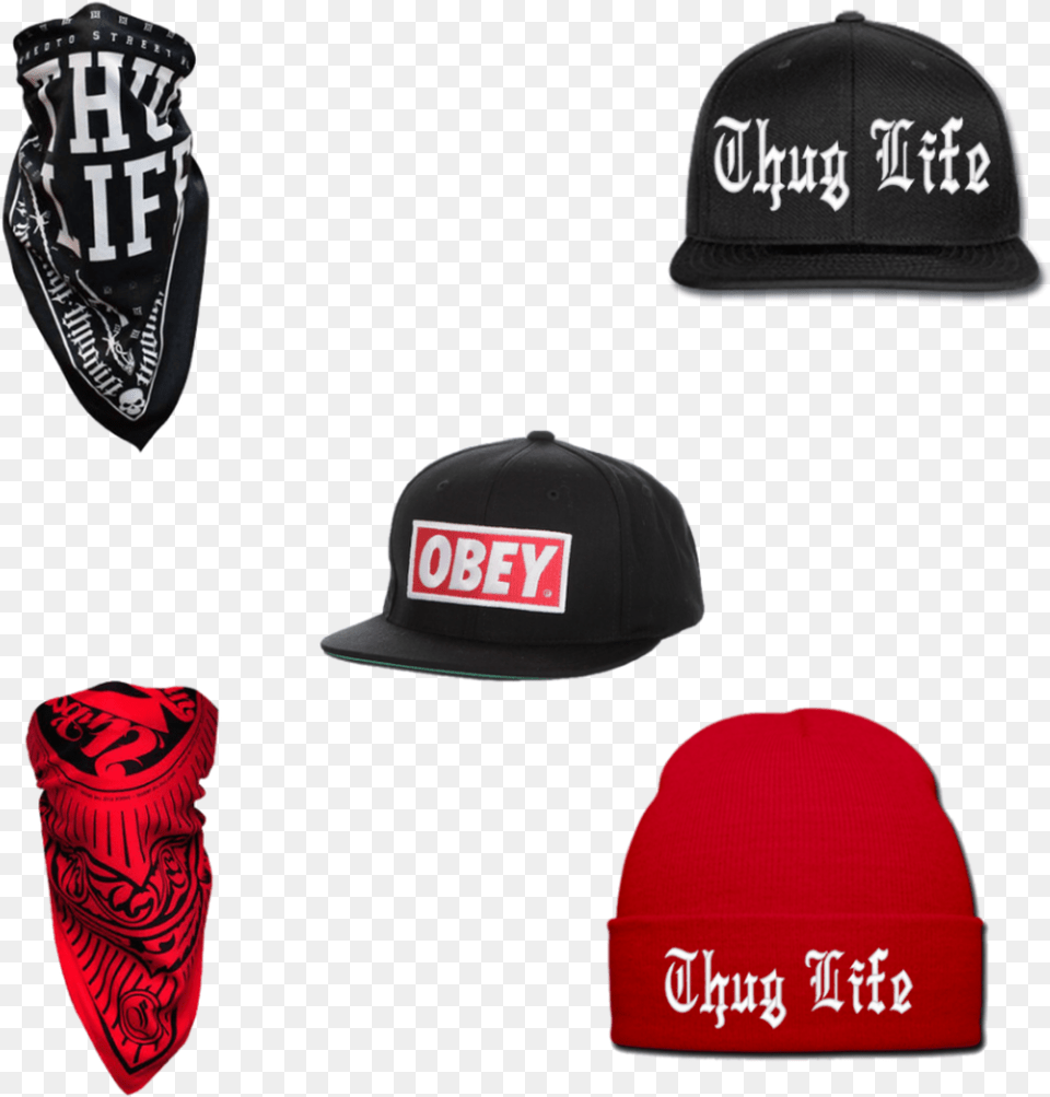 Popular And Trending Cappelli Stickers Obey Snapbacks, Baseball Cap, Cap, Clothing, Hat Free Transparent Png