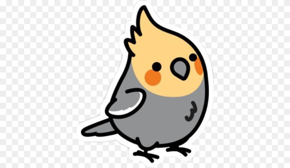 Popular And Trending Cockatiels Stickers, Animal, Beak, Bird, Jay Png Image