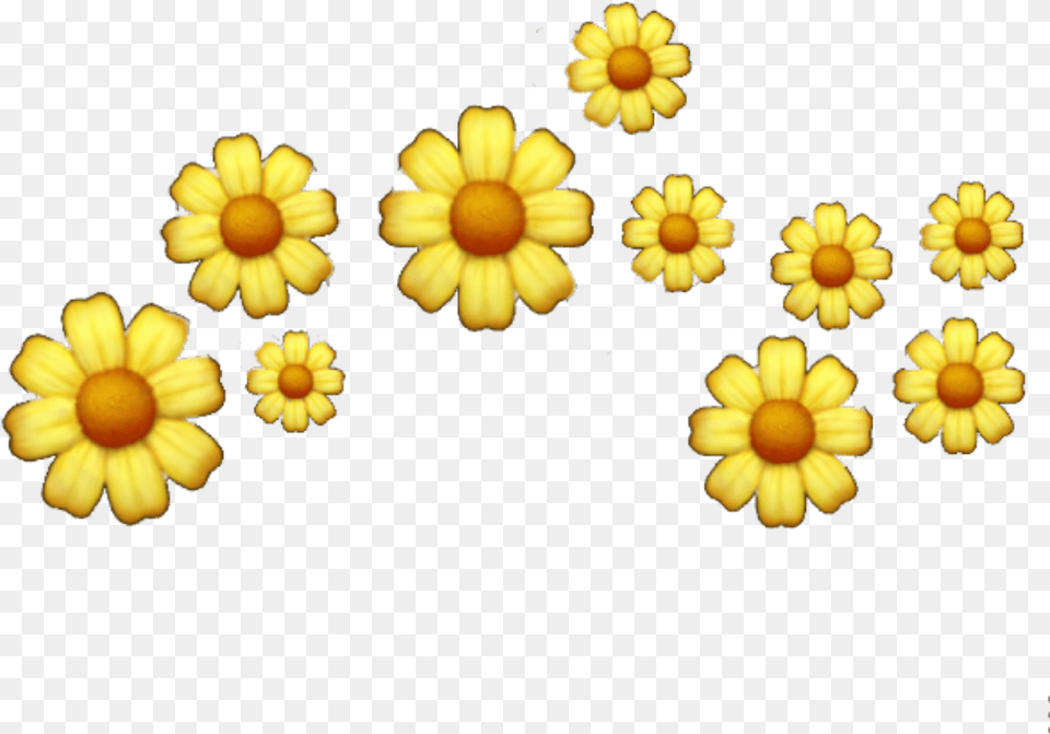 Popular And Trending Flowers Background Tumblr Stickers Yellow Aesthetic Tumblr, Daisy, Flower, Petal, Plant Png