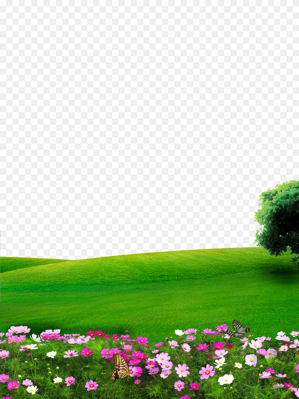 Popular And Trending Grass Field Stickers, Countryside, Rural, Plant, Outdoors Free Transparent Png