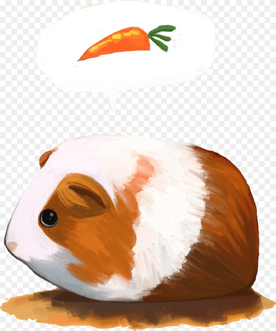 Popular And Trending Guinea Pig Stickers, Animal, Bird, Mammal Free Png