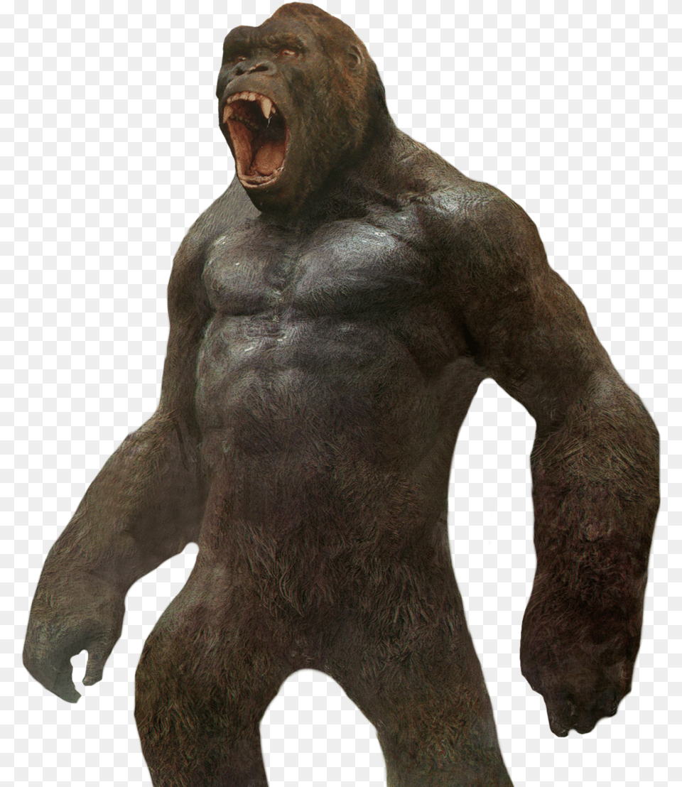 Popular And Trending Kingkong Stickers, Animal, Ape, Mammal, Wildlife Png