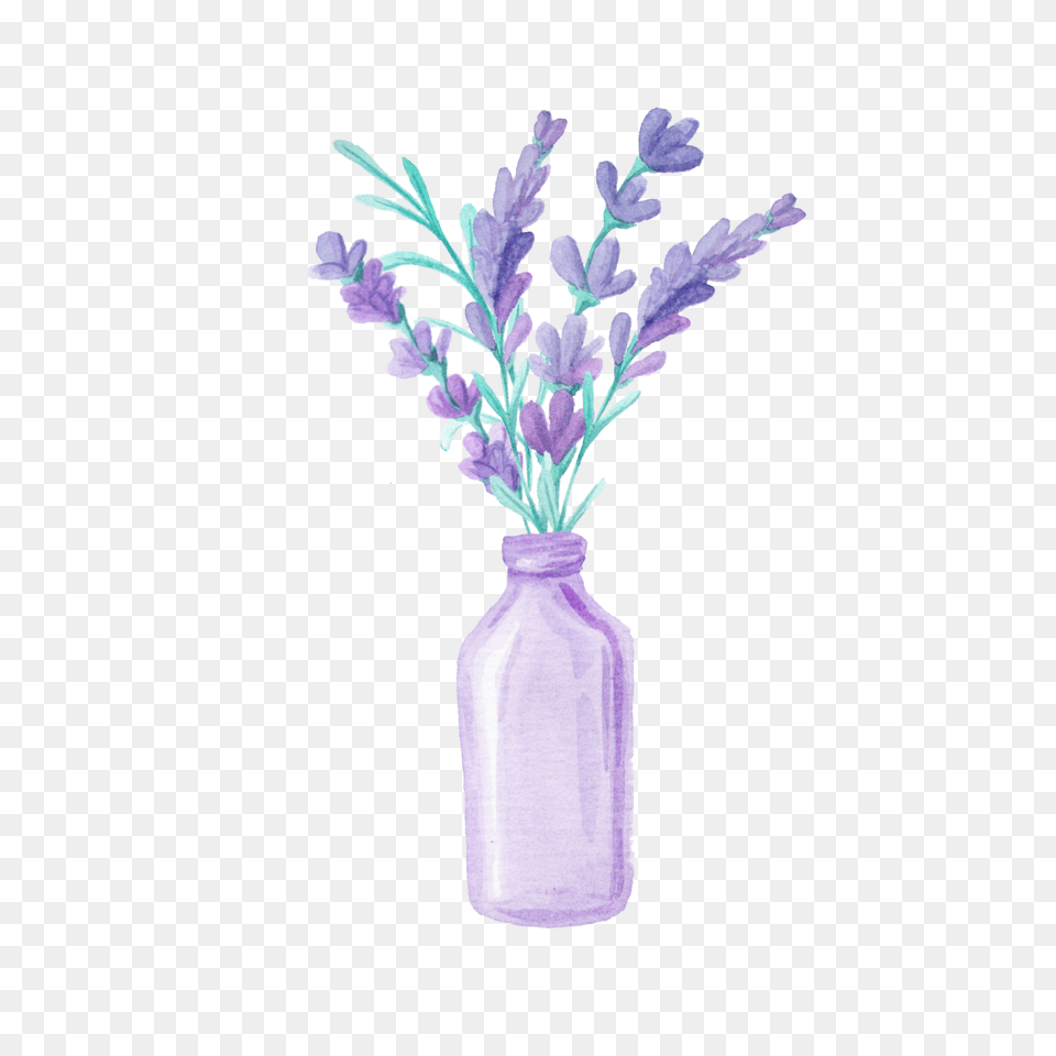Popular And Trending Lavender Stickers, Flower, Flower Arrangement, Jar, Plant Free Transparent Png