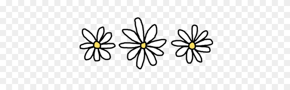 Popular And Trending Margaritas Stickers, Daisy, Flower, Plant Png