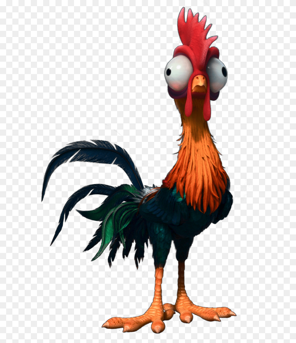 Popular And Trending Moana Stickers, Animal, Bird, Chicken, Fowl Png Image