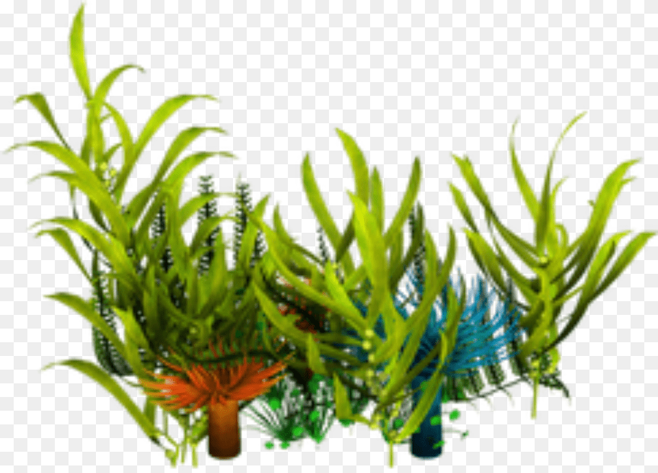 Popular And Trending Seaweed Stickers, Aquatic, Water, Plant, Moss Free Png Download