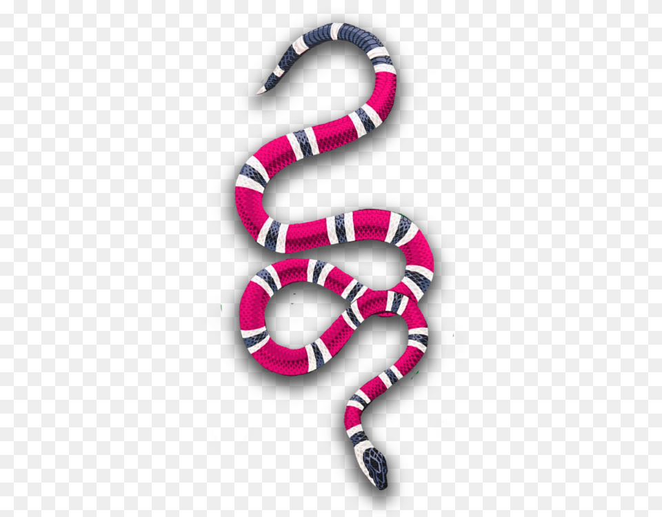 Popular And Trending Snake Stickers, Animal, Reptile, King Snake, Ice Hockey Puck Png