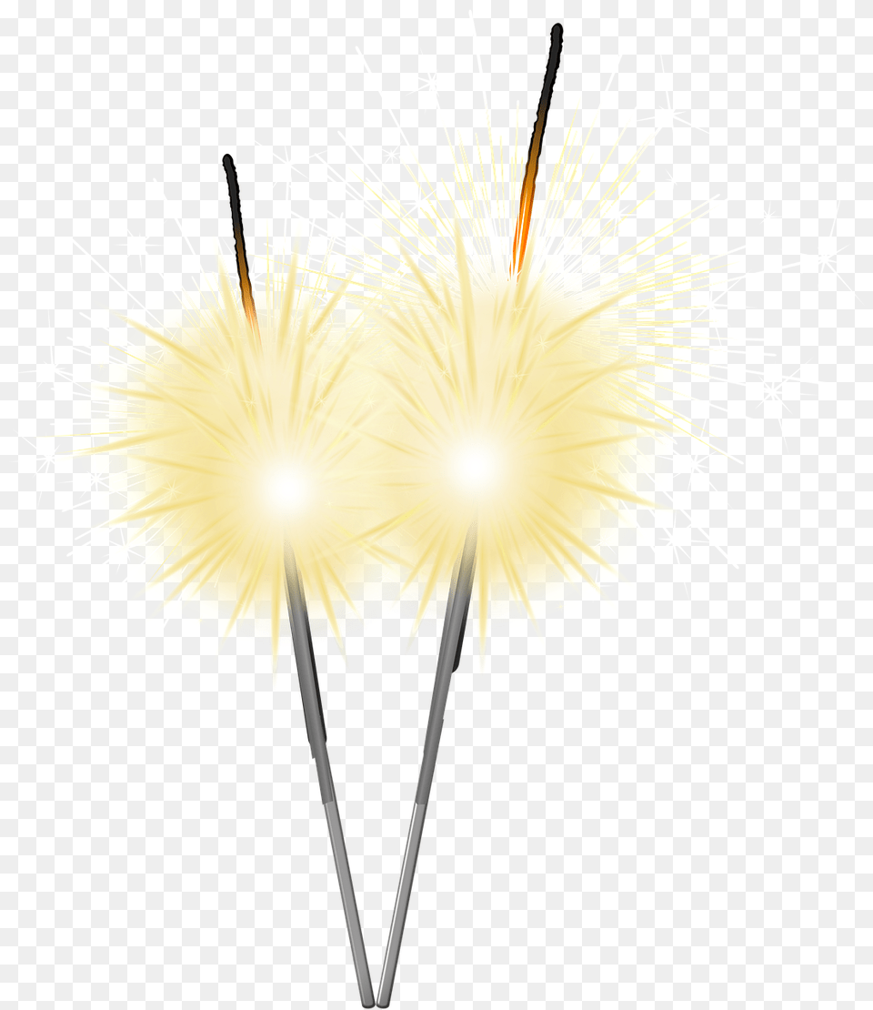 Popular And Trending Sparklers Stickers Fireworks, Flower, Plant, Food, Sweets Free Transparent Png
