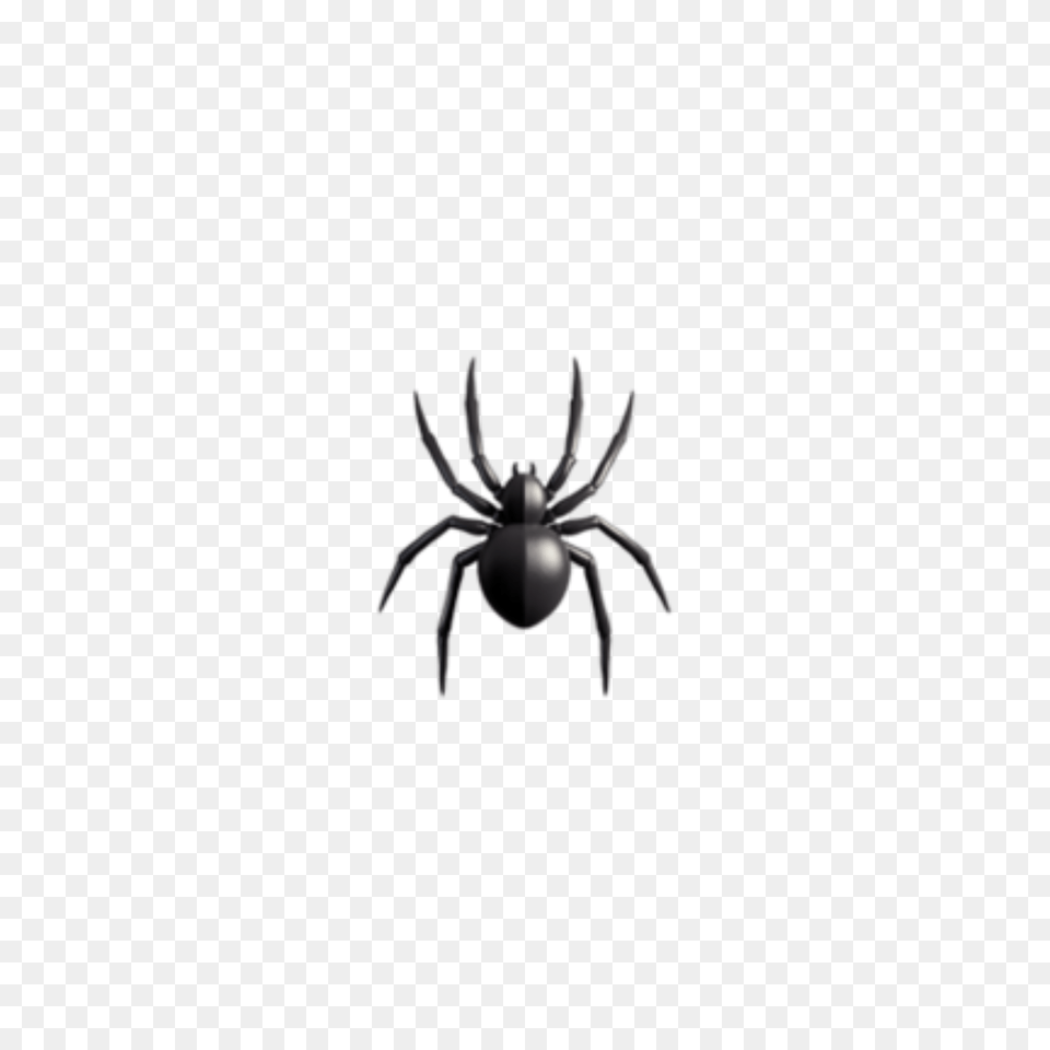 Popular And Trending Spinne Stickers, Animal, Invertebrate, Spider Free Png Download