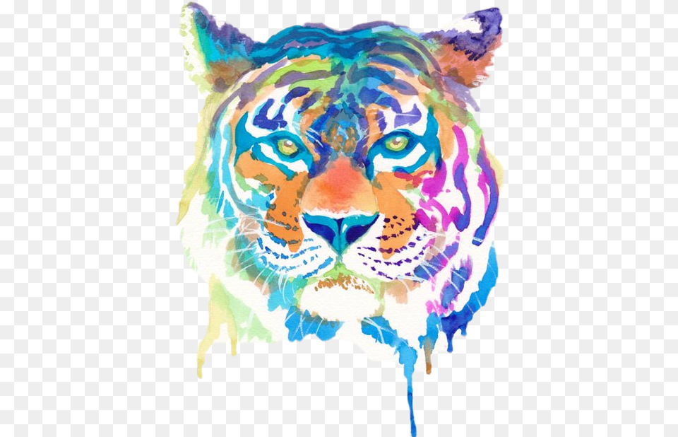 Popular And Trending Tiger Rawr Stripes Double Cool Things To Draw With Watercolour, Art, Graphics, Baby, Person Free Png