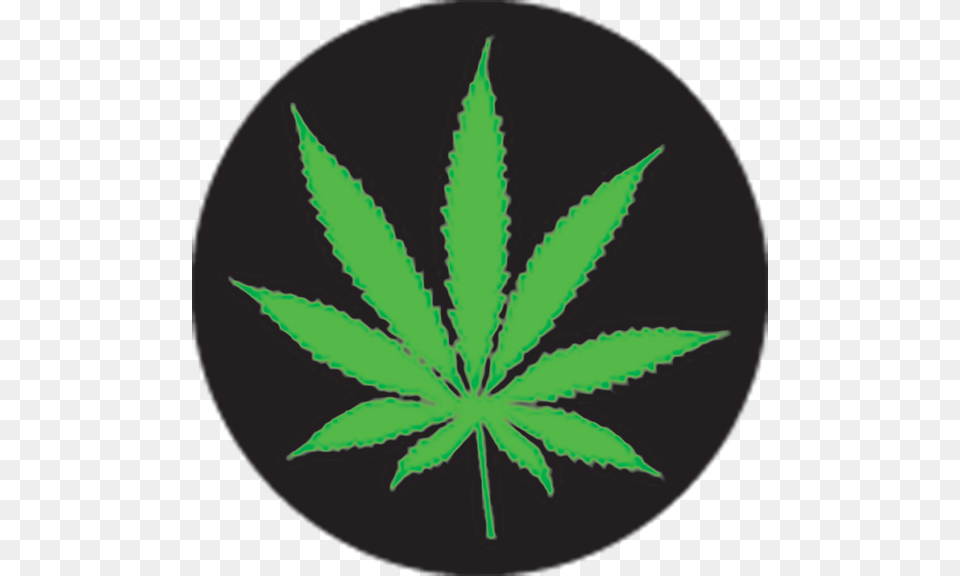 Popular Black And Yellow Weed Leaf, Plant, Hemp Png Image