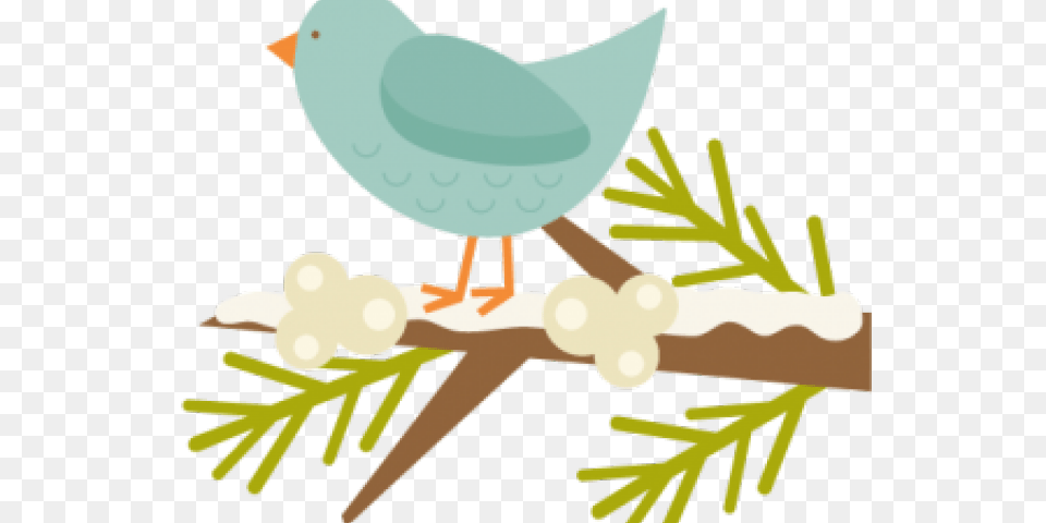 Popular Cliparts, Plant, Tree, Animal, Bird Free Transparent Png