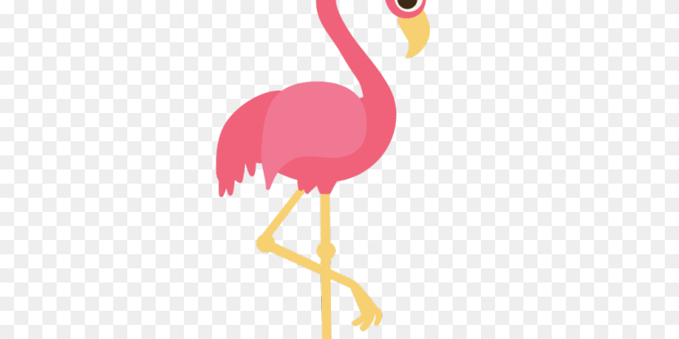 Popular Cliparts, Animal, Bird, Flamingo, Person Free Png