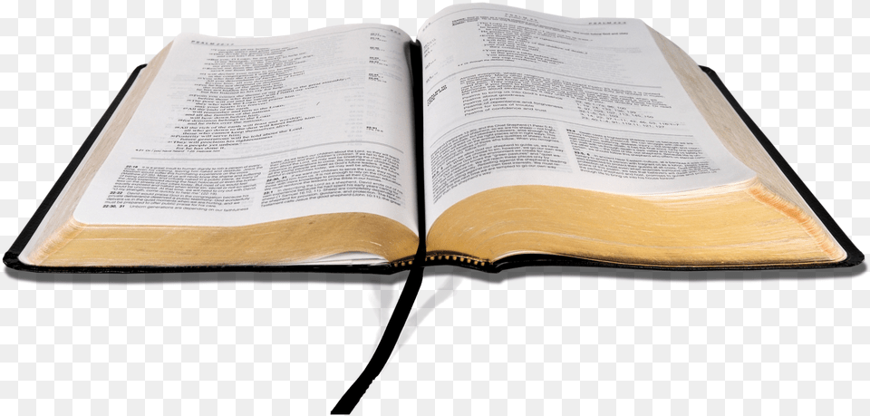 Popular Self Help Quotes Taken From The Bible Faith Bible Transparent Background, Book, Page, Publication, Text Free Png