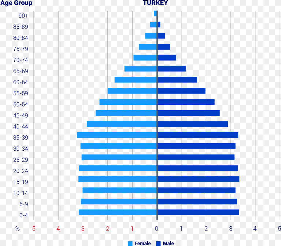 Population Age Group Pyramid Demography Free Png