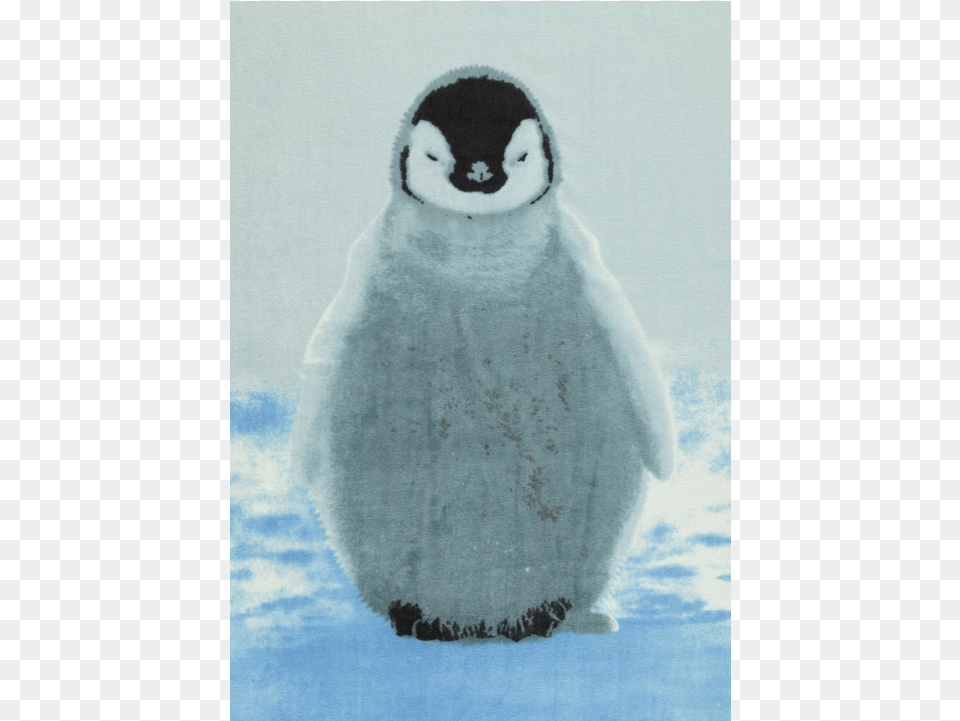 Popupshop Towel Penguin Baby Penguin, Animal, Bird Free Png