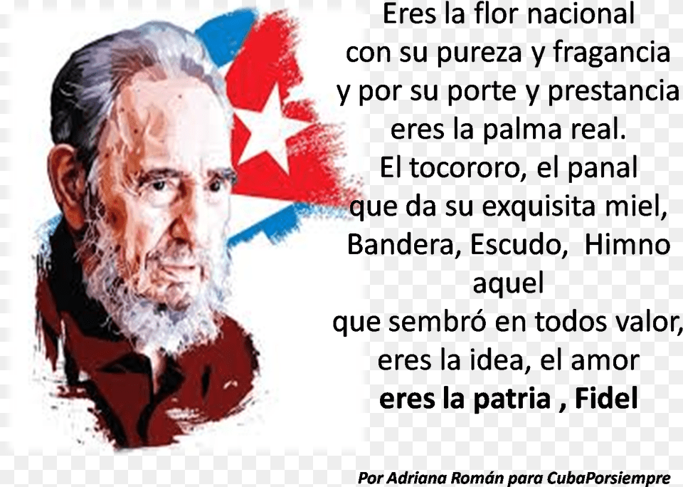 Por Adriana Romn Fidel Castro Wallpaper Hd, Face, Head, Person, Photography Free Png