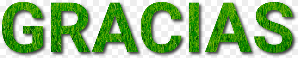 Por Enviarnos Su Solicitud De Informacin Mis Hijos Mi Orgullo, Green, Text, Grass, Plant Free Transparent Png