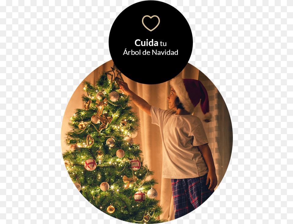 Por Ltimo Cuida Y Mantn Con Vida Tu Rbol Christmas Tree, Woman, Adult, Plant, Person Free Png Download